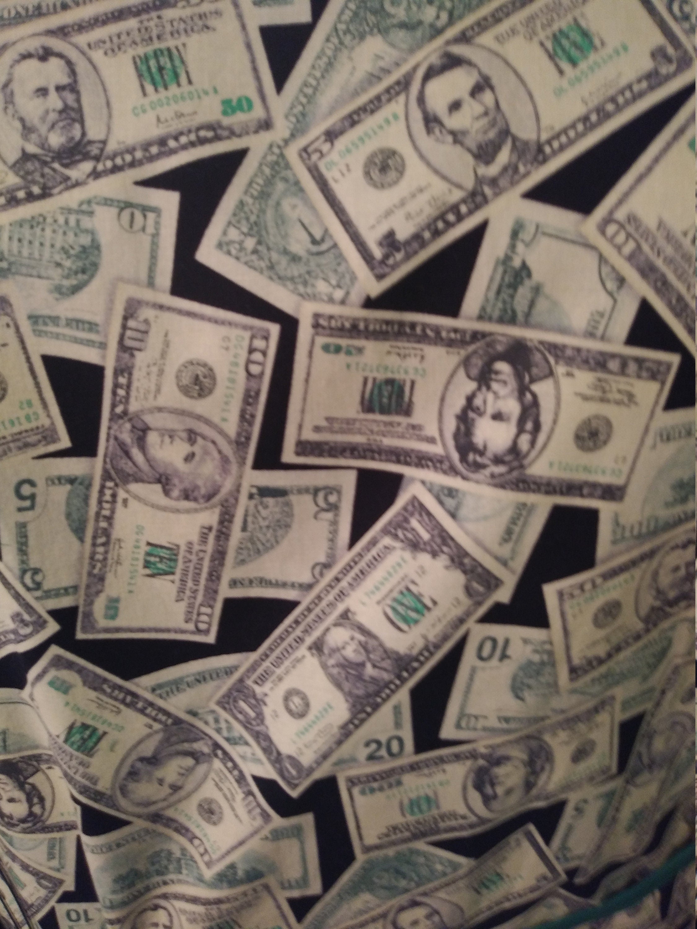 Adult Apron Money Print