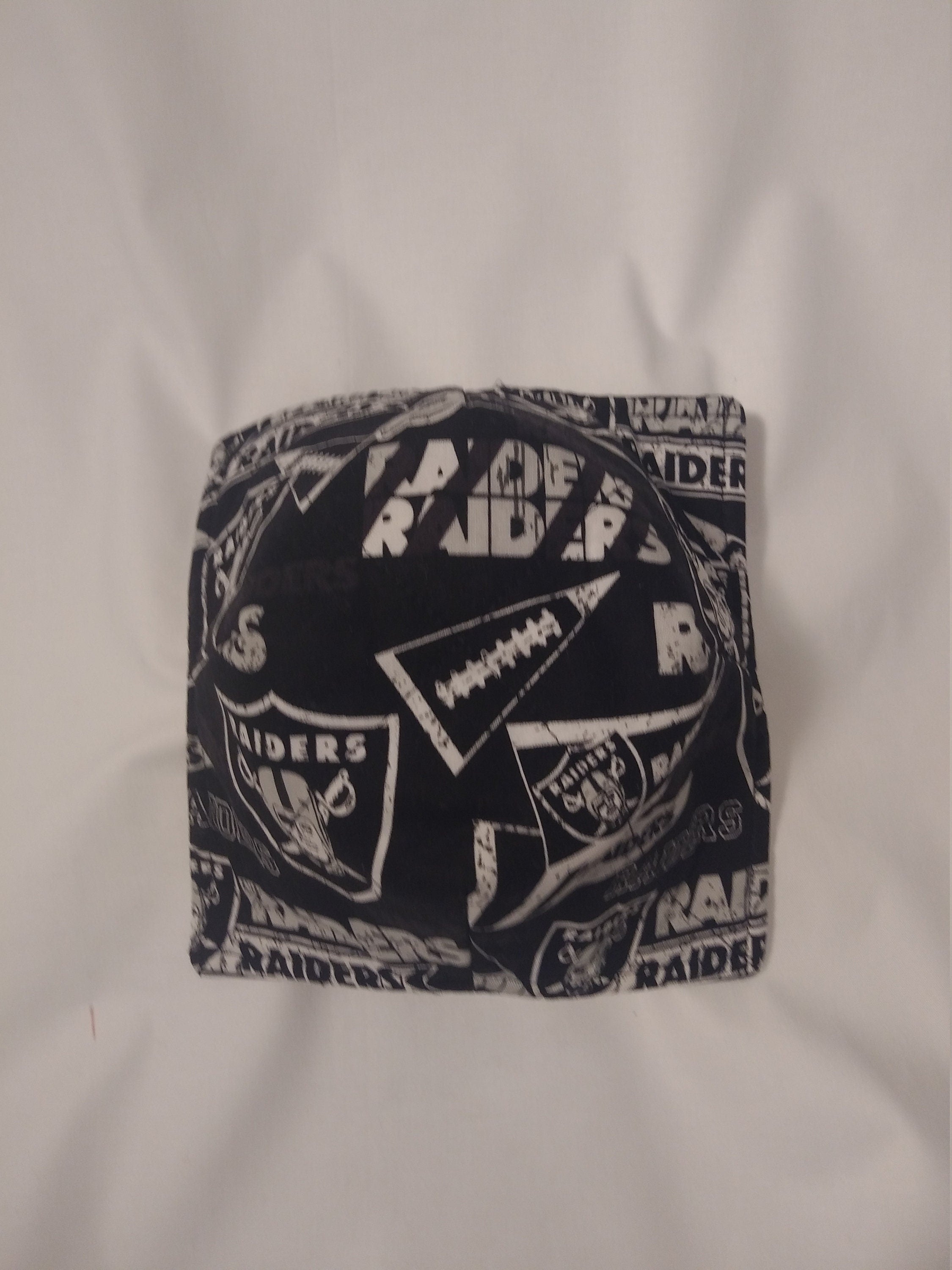 Cozy Bowl Las Vegas Raiders 4"inch