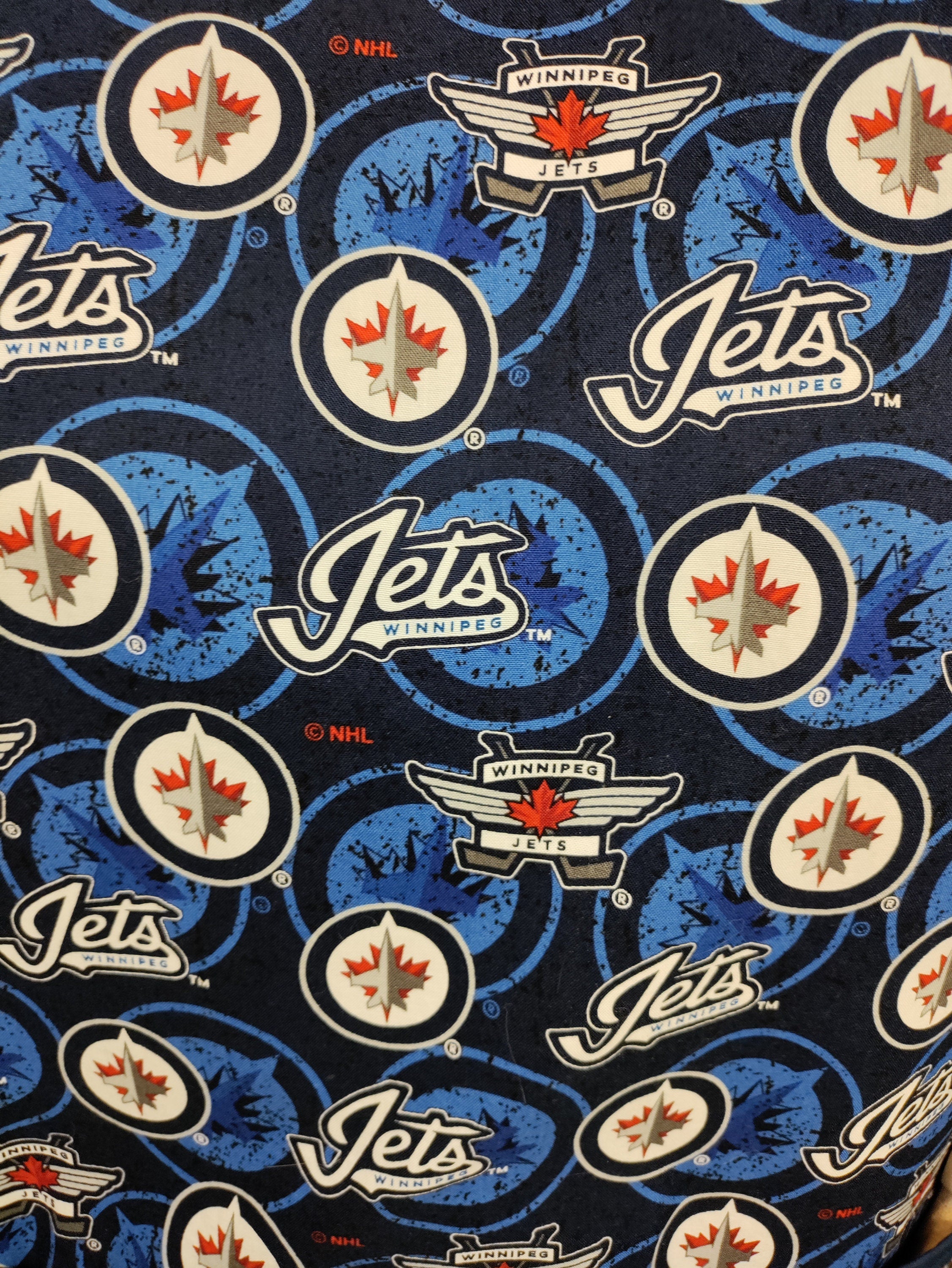 Adult Apron Winnipeg Jets