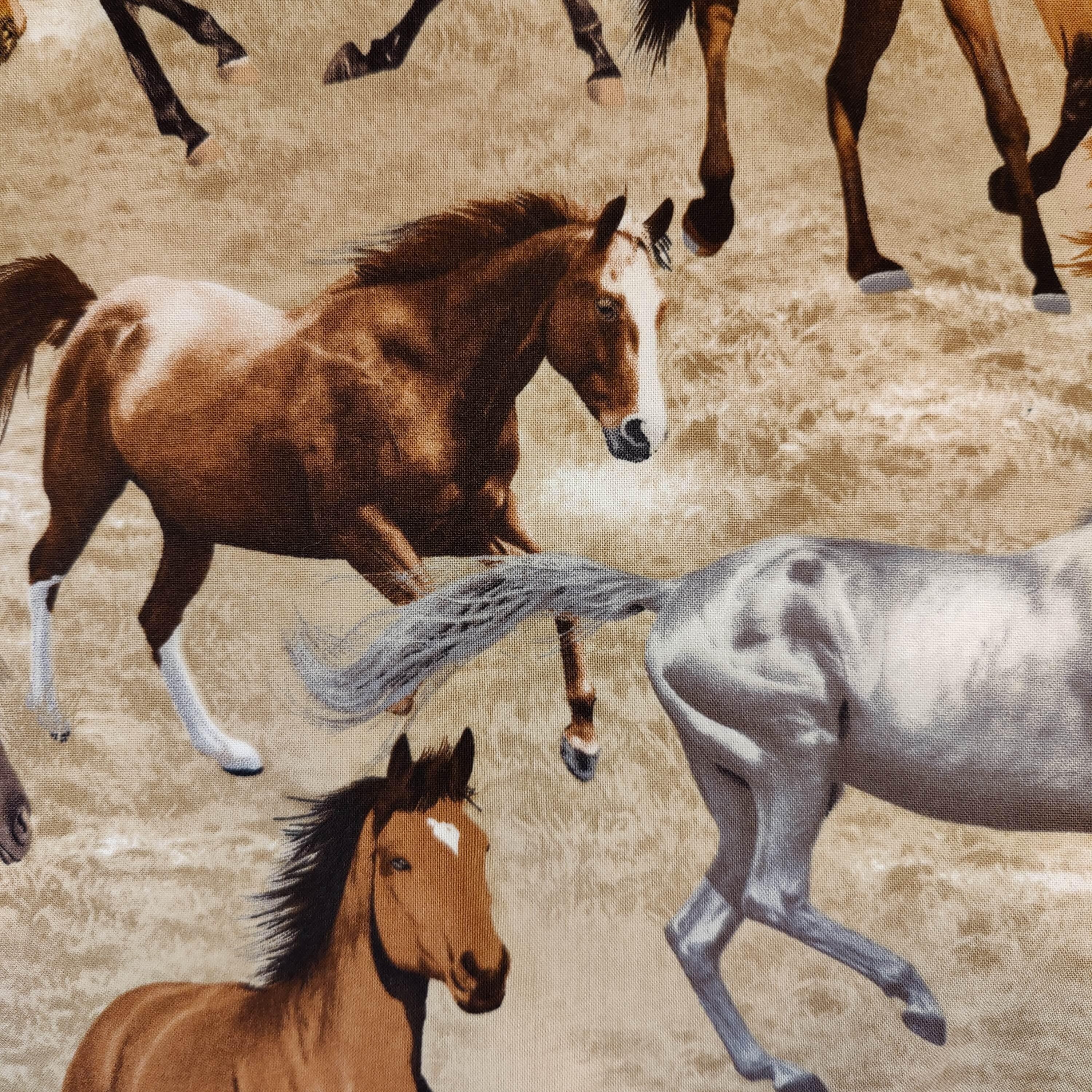 Adult Bib Wild Horses