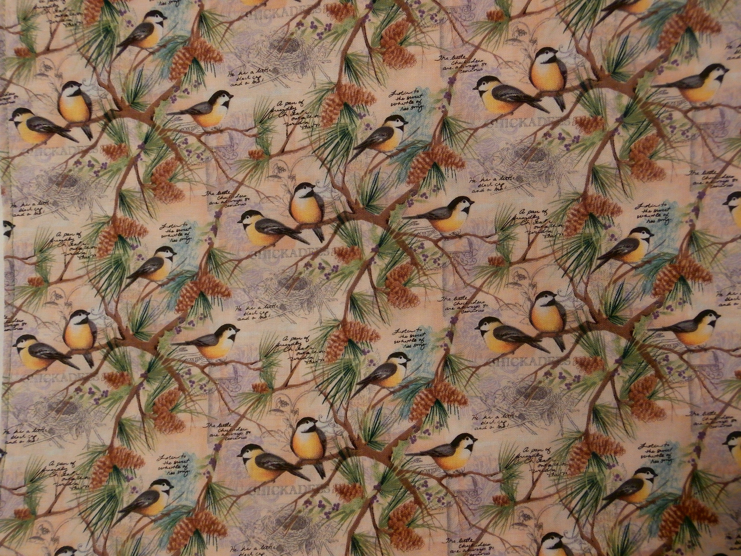 Adult Bib Springtime Birds