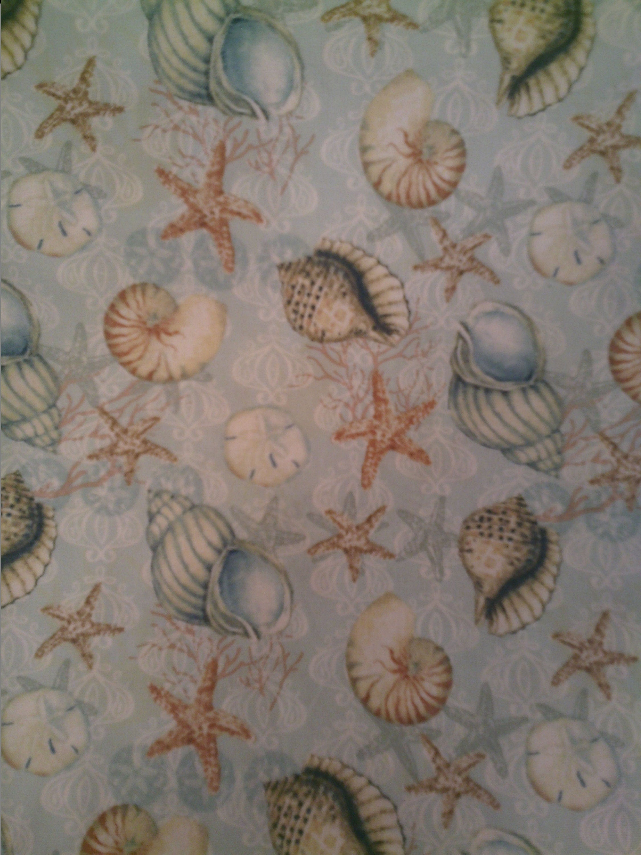 Adult Bib Sea Shells